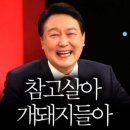 공식화된 윤석열 문제 해결 방법 이미지