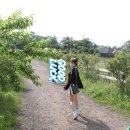 상만목장 | 제주도 여행 #3 5월 23일 2022년 5월 21 ~ 25 다이나믹메이즈 삼다수목장승마장 도치돌 통나무파크