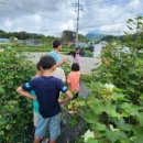 마령초등학교 이미지