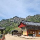 청도군-2 이미지