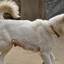 금풍농장 이미지