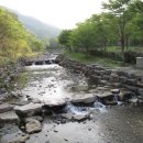 벽계야영장 이미지