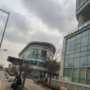 성광 | 가락시장 마른오징어 구매 후기｜성광건해에서 다시 찾은 이유 🦑