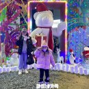 코티스 앰버서더 그라운드 이미지