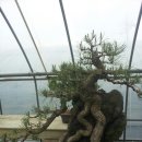 곰솔농장 이미지