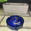 일끼아쏘 이미지