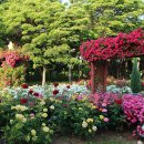 송도 해돋이공원 이미지