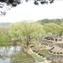 꽃이야 나무야 파주 이미지