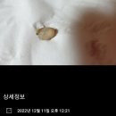 정상현치과의원 네이버블로그