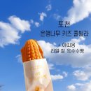 메가엠지씨 커피 포천신읍점 | 경기도 포천 은행나무 키즈 풀빌라 후기