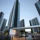 엘리체