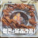 달려라꼼