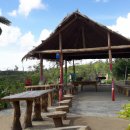 에듀팜특구관광단지(벨포레리조트) | 에듀팜특구관광단지벨포레리조트 방문 후기