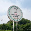[경기/남양주] 힐링하기 좋은 남양주 팔당 카페 토끼섬 수제 밀크티 후기
