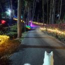 CU 거제바다그리고점 이미지