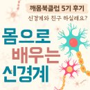 몸으로 배우는 신경계 (feat. 깨몸북클럽 5기 후기)