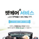 펫앤피플 이미지