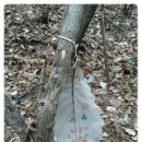 월문초등학교(병설) 이미지