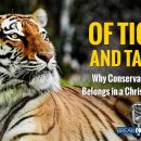 Why Conservation Success Belong in a Christian Worldview 이미지