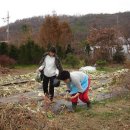 일구농장 이미지