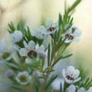 수지의료기 이미지