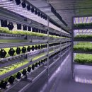 이수농장 이미지