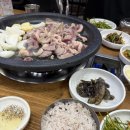 시골집오리농원 이미지