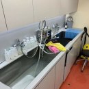 샵봄애견샵 이미지