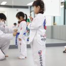 세종태권도 이미지