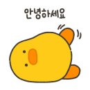 대게큰누나 이미지