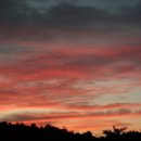 노을지는농장 이미지