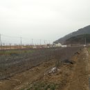 현풍농장 이미지