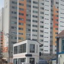 파이달램 이미지