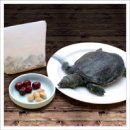 용강농장 이미지