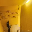 온도노래연습장 이미지