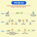 코타 키나발루 가이드맨 이미지