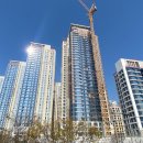 청담-109 이미지