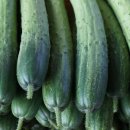 나래농장 이미지