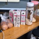 란PC방 | 11월엔 내가 퀸이다 먹퀸