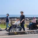 올레인력