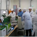 학교급식지원센타 이미지