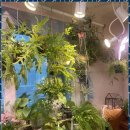 톤음악학원