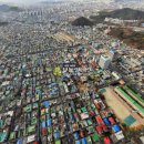 안지랑로 이미지