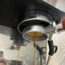 장유로2L | [커피/용품] 브레빌876 1년 언저리 사용기 장점과 단점! 커피용품 추천!(feat.빈플랜트)