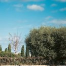 형제농장A | 바르셀로나 여행 코스 토레스 와이너리 투어 근교 당일치기