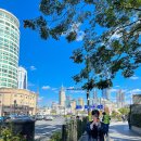 예쁘지아 | [24년 11월] 11월에 떠난 상해 여행_상해의 옷차림과 풍경(feat. 날씨)