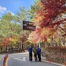 필례약수 단풍 이미지