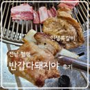 반갑다돼지야