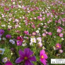 금원공인중개사사무소 이미지