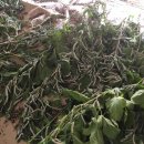 온석농장 이미지